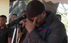 Harmonize