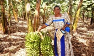 Farmers asked to use ACF to boost agriculture commercialization
