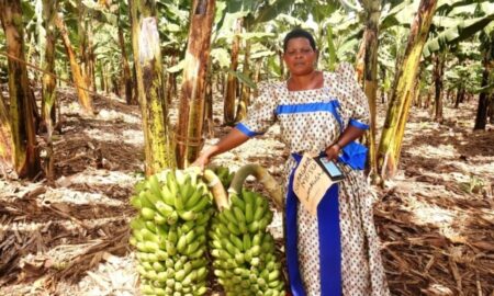 Farmers asked to use ACF to boost agriculture commercialization