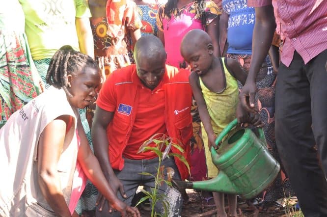 Uganda celebrates International day for biodiversity by planting trees in Mabira forest