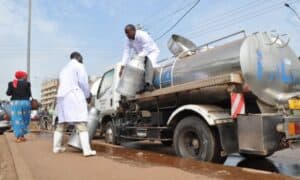 Uganda’s dairy sector faces losses as Kenya blocks exports