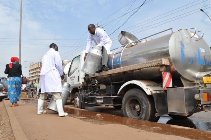 Uganda’s dairy sector faces losses as Kenya blocks exports