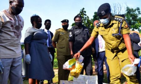 Alleged Government officials accused of shielding drug smugglers, according to police