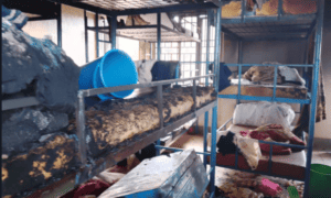Four employees arrested in connection with Masaka children's school fire
