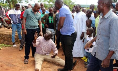 Heightened tension as unknown assailants destroy trees planted by Kabaka's chiefs in Kayunga