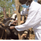 Escaped anthrax patients spark concerns at local health centre