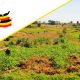 Mailo system Legacy of land dispossession and inequality in Uganda
