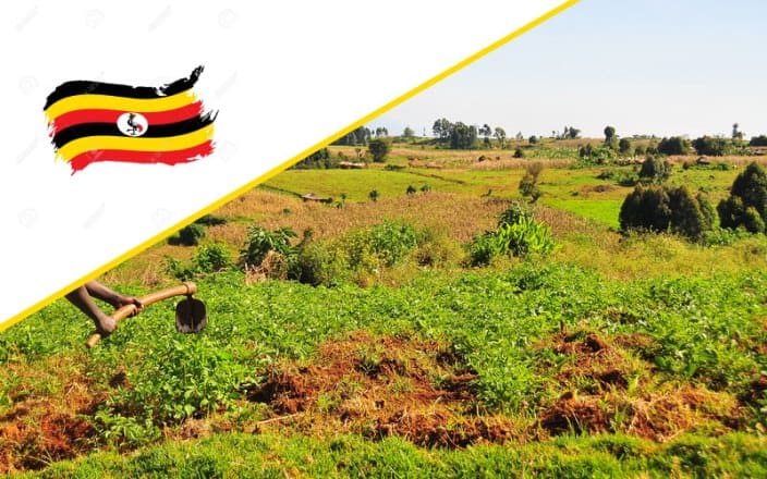 Mailo system Legacy of land dispossession and inequality in Uganda